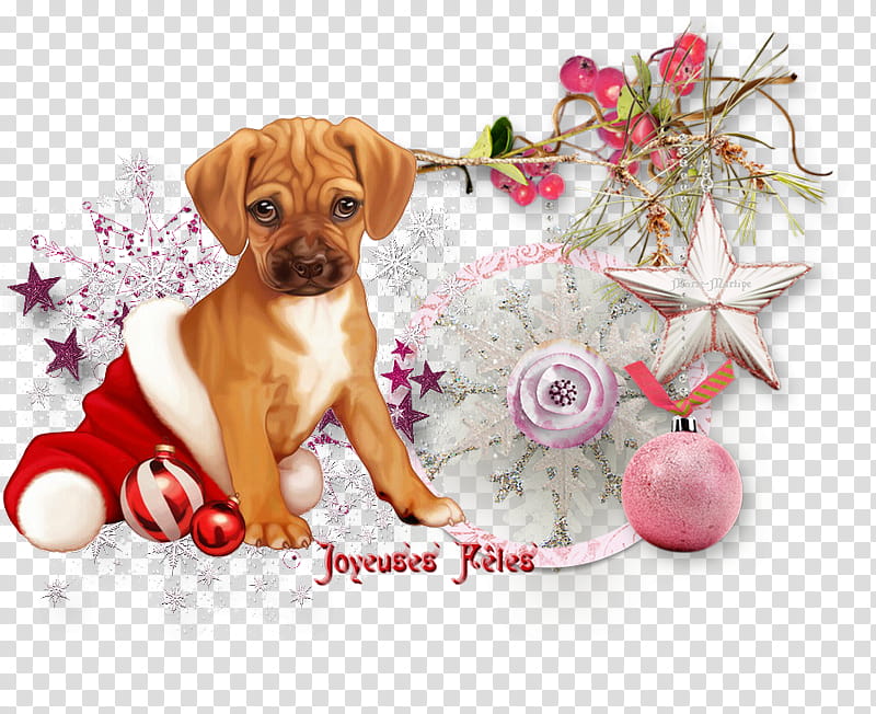 Christmas And New Year, Santa Claus, Rhodesian Ridgeback, Christmas Day, Bombka, Puppy, Gift, Christmas Ornament transparent background PNG clipart