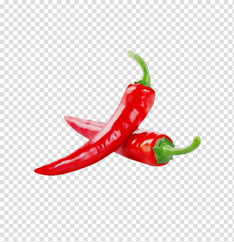 malagueta pepper chili pepper tabasco pepper serrano pepper peperoncini, Watercolor, Paint, Wet Ink, Birds Eye Chili, Cayenne Pepper, Bell Peppers And Chili Peppers, Vegetable transparent background PNG clipart