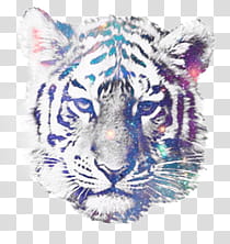 white tiger graphic transparent background PNG clipart