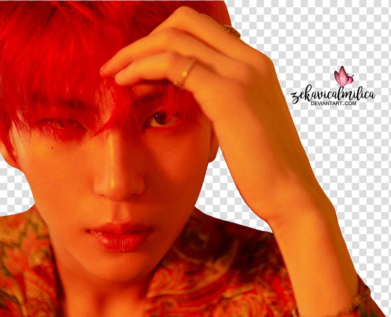 VIXX Leo Canvas, VIXX Leo transparent background PNG clipart