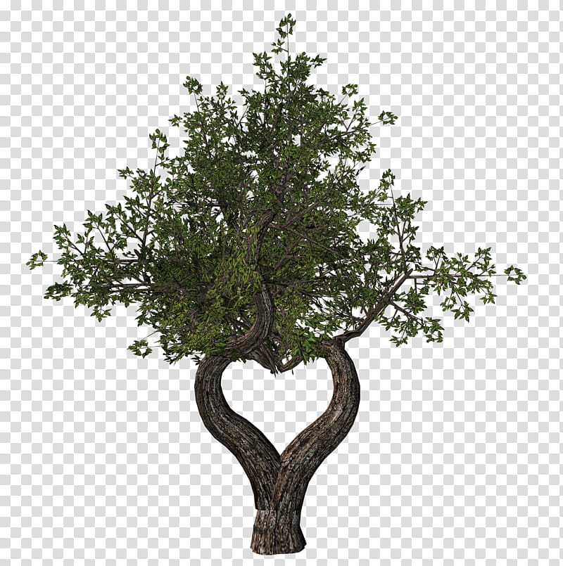 D Trees , heart-shaped trunk trees transparent background PNG clipart