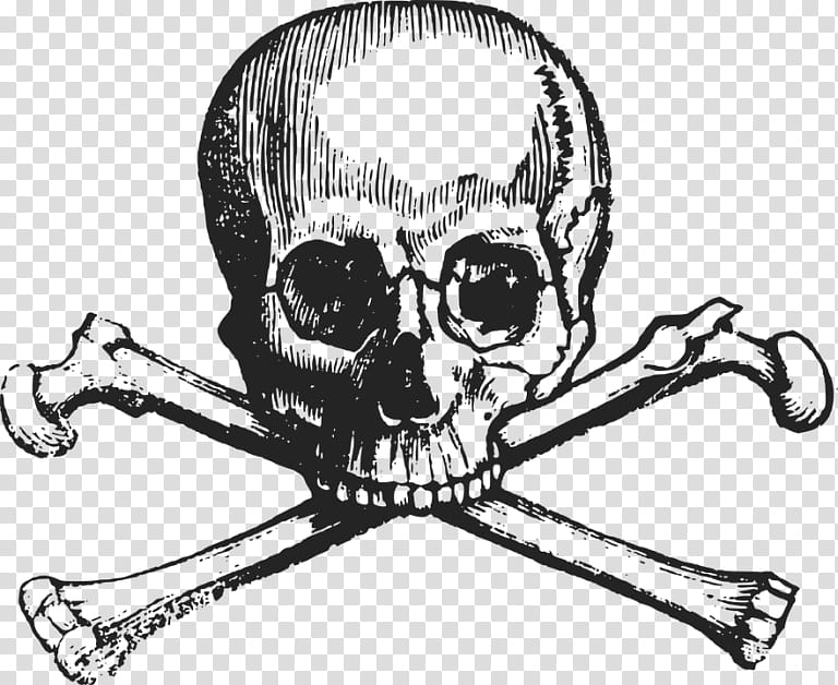 Human Skull Drawing, Skull And Crossbones, Skull And Bones Society, Death, 2018, Piracy, Black And White
, Line Art transparent background PNG clipart
