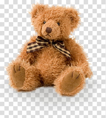 Teddy Bears transparent background PNG clipart