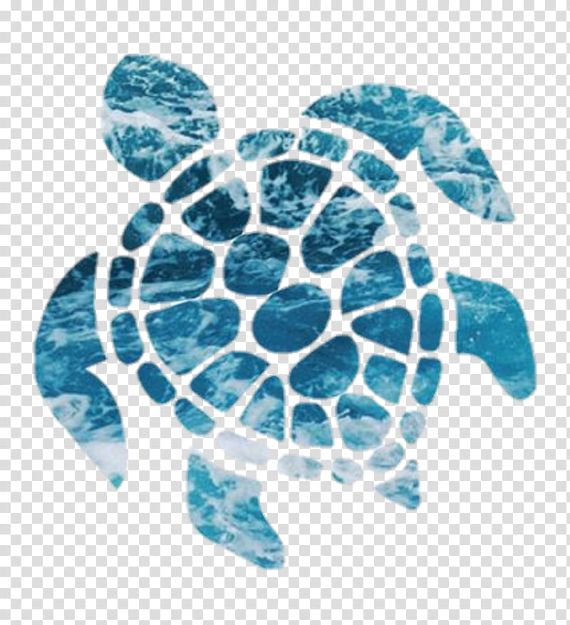 World Ocean Day, Turtle, Sticker, Decal, Sea Turtle, World Turtle Day, Tshirt, Plastic transparent background PNG clipart