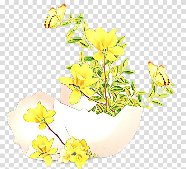 flower yellow plant cut flowers evening primrose, Evening Primrose Family, Petal, Common Evening Primrose transparent background PNG clipart