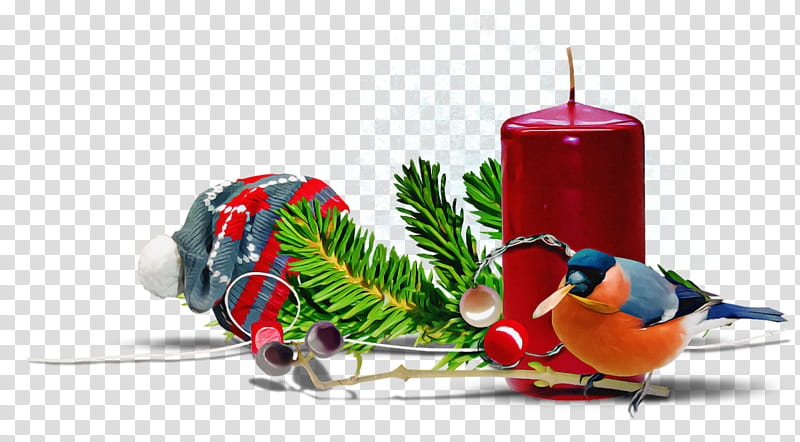 Christmas ornaments Christmas decoration Christmas, Christmas , Bird, Branch, Parrot, Interior Design transparent background PNG clipart
