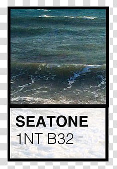Pantone s, seatone nt b text transparent background PNG clipart