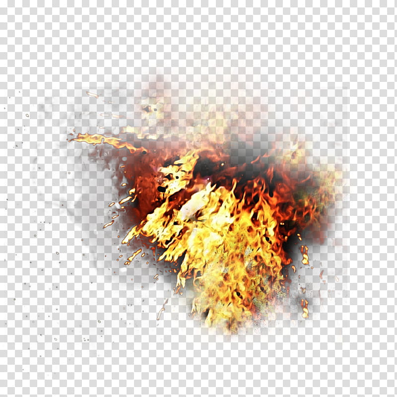 Fire Flame, Computer, Color transparent background PNG clipart