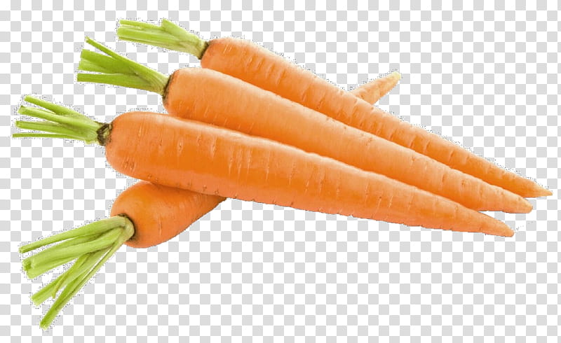 Orange, Carrot, Vegetable, Root Vegetable, Food, Baby Carrot, Wild Carrot, Plant transparent background PNG clipart