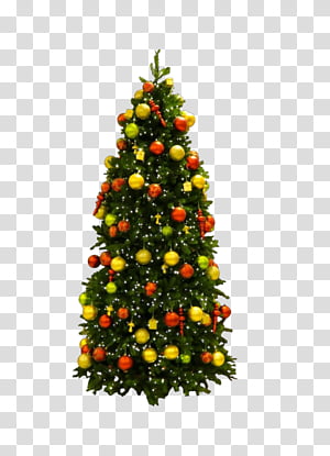 Christmas tree, Christmas Decoration, Colorado Spruce, Oregon Pine, Evergreen, Christmas 
, Plant, Holiday Ornament transparent background PNG clipart thumbnail