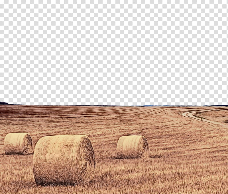 hay field straw farm agriculture, Watercolor, Paint, Wet Ink, Grass Family, Plant, Grassland, Plain transparent background PNG clipart