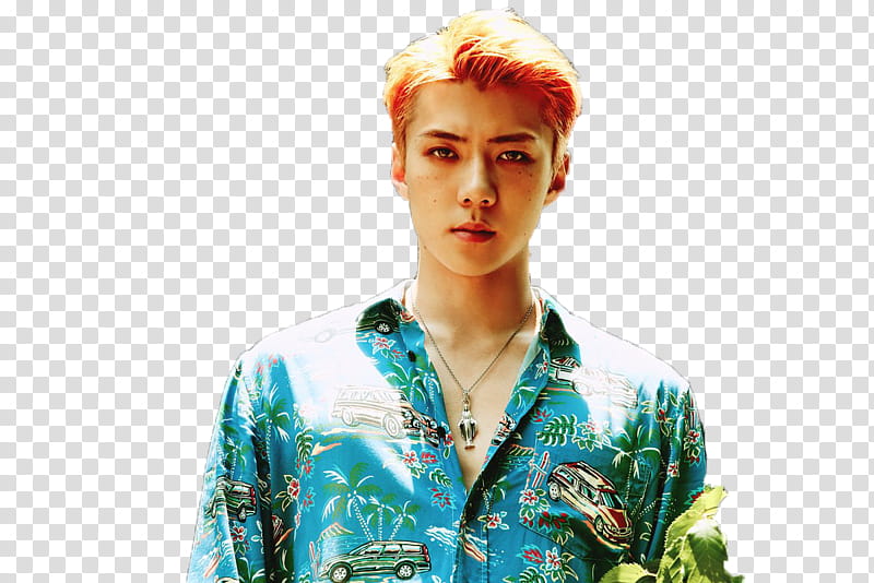 Sehun EXO The War Ko Ko Bop S, man wearing green and multicolored collared shirt transparent background PNG clipart