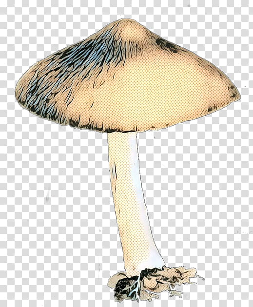 Mushroom, Agaricaceae, Edible Mushroom, Agaricomycetes, Agaricus, Lamp, Russula Integra, Fungus transparent background PNG clipart