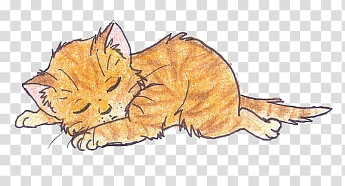 various X, brown cat illustration transparent background PNG clipart