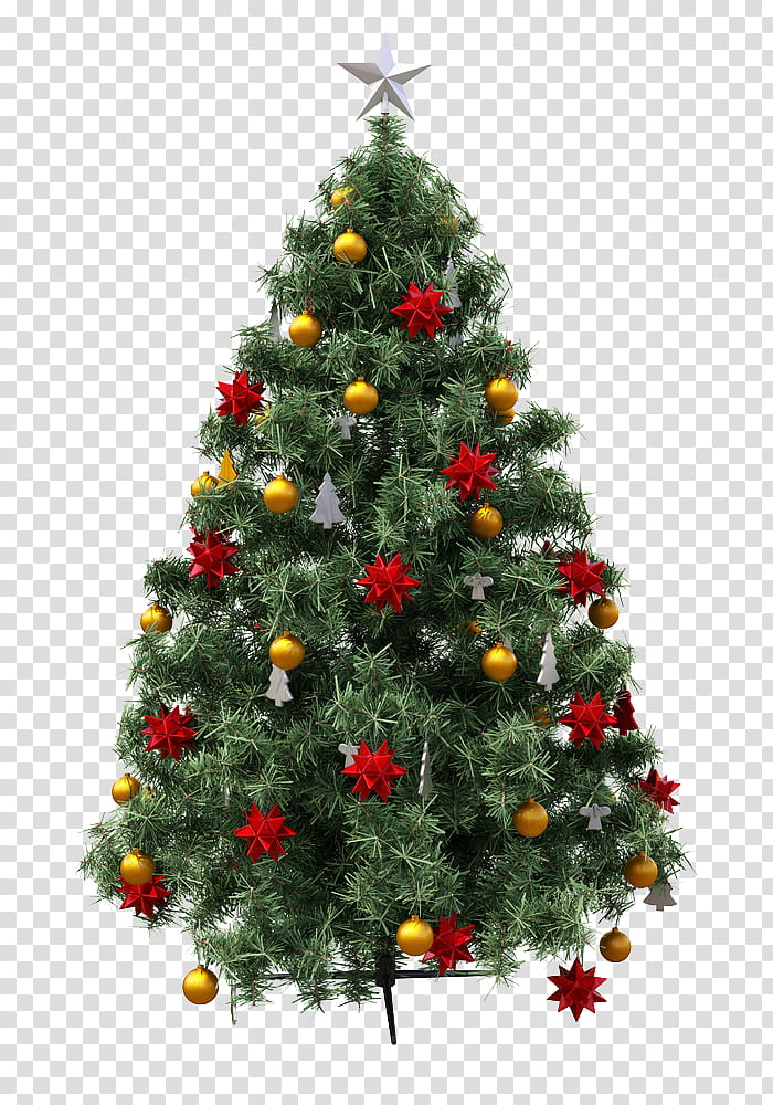 Christmas Resource , green Christmas tree transparent background PNG clipart