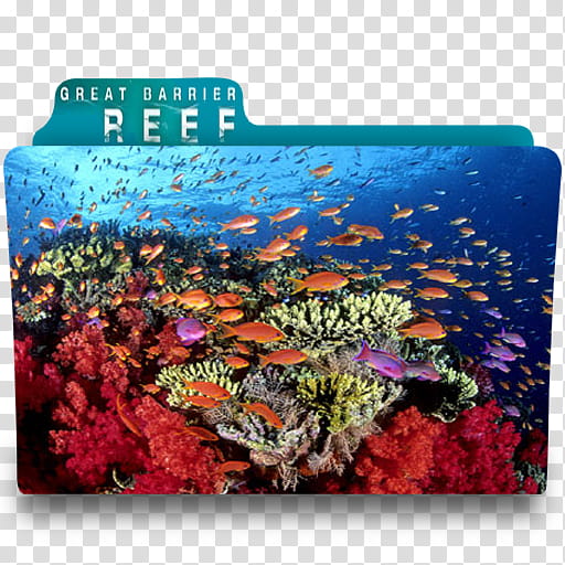Great Barrier REEF, Great Barrier REEF icon transparent background PNG clipart