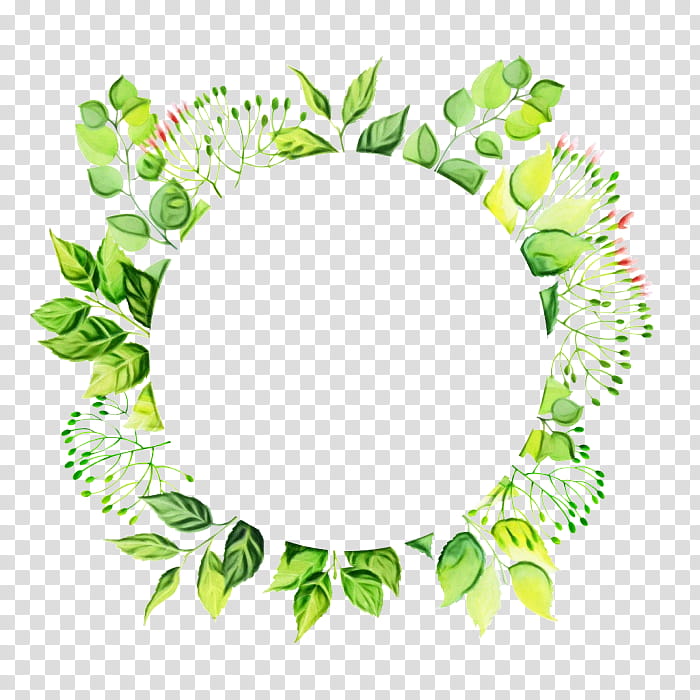 Green Leaf Watercolor, Circle, Frames, Watercolor Painting, Plant, Flower, Oval transparent background PNG clipart