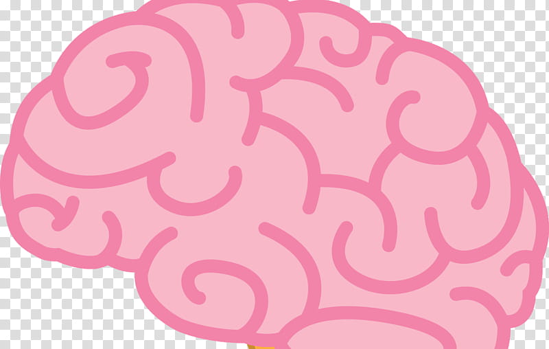 pink brain clipart for kids