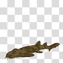 Spore creature Japanese wobbegong female transparent background PNG clipart