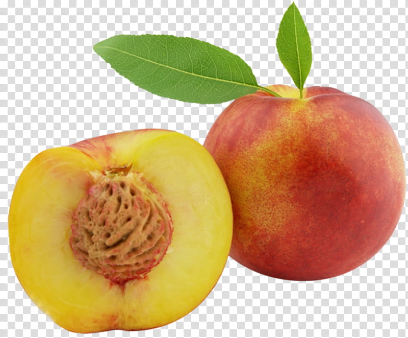 fruit peach food plant nectarines, Natural Foods, European Plum, Superfood, Drupe transparent background PNG clipart