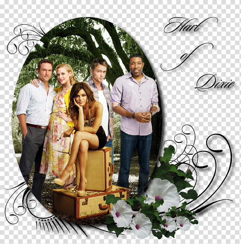 Hart of Dixie Banner transparent background PNG clipart
