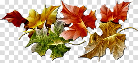 Autumn swatches, multicolored leaves illustration transparent background PNG clipart