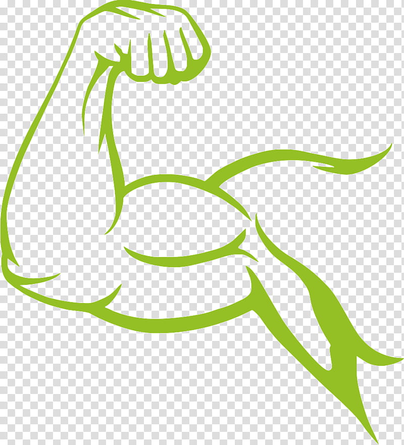 Leaf Drawing, Muscle, Biceps, Arm, Bodybuilding, Plant, Line Art, Plant Stem transparent background PNG clipart