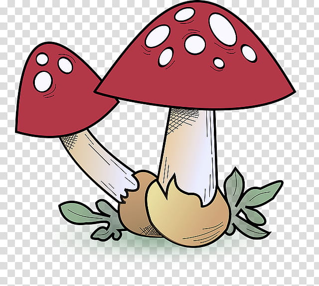 mushroom cartoon agaric fungus, Agaricomycetes transparent background PNG clipart