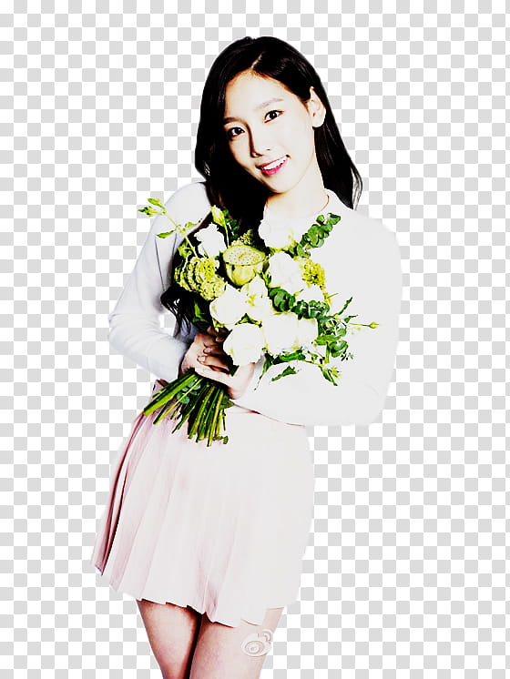 # TAEYEON NATURE REPUBLIC transparent background PNG clipart