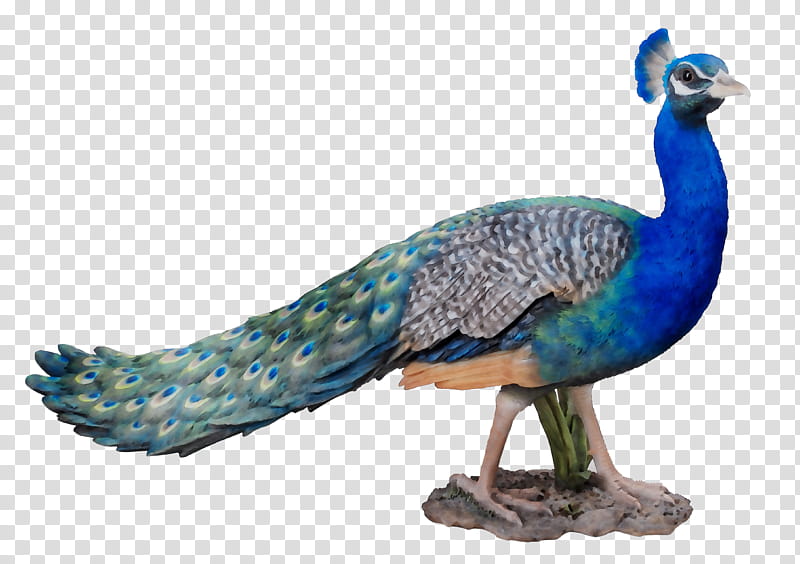 Bird, Peafowl, Feather, Cobalt Blue, Beak, Figurine, Animal Figure, Hunting Decoy transparent background PNG clipart