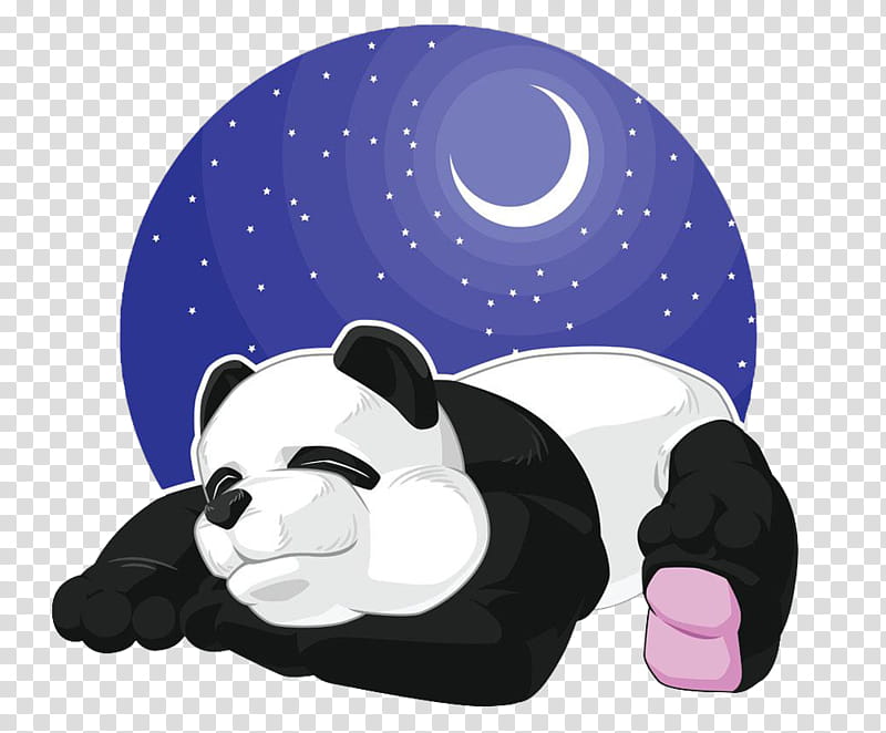 Bear, Giant Panda, Drawing, Sleep, Cartoon transparent background PNG clipart