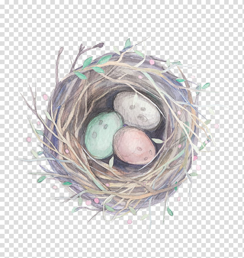 Cartoon Baby Bird, Bird Nest, Pillow, Throw Pillows, Egg, Cushion, Quilt, Mug transparent background PNG clipart