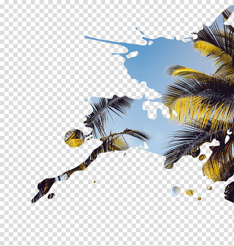 Palm Tree, Palm Springs International Airport, Vacation, Vacation Rental, Taxi, Industry, Song, Yellow transparent background PNG clipart