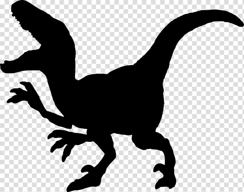 Velociraptor, Tyrannosaurus Rex, Triceratops, Dinosaur, Silhouette, Stegosaurus, Deinonychus, Stencil transparent background PNG clipart