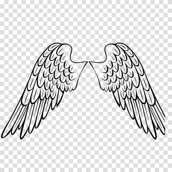 Materials, black angel wings illustration transparent background PNG clipart