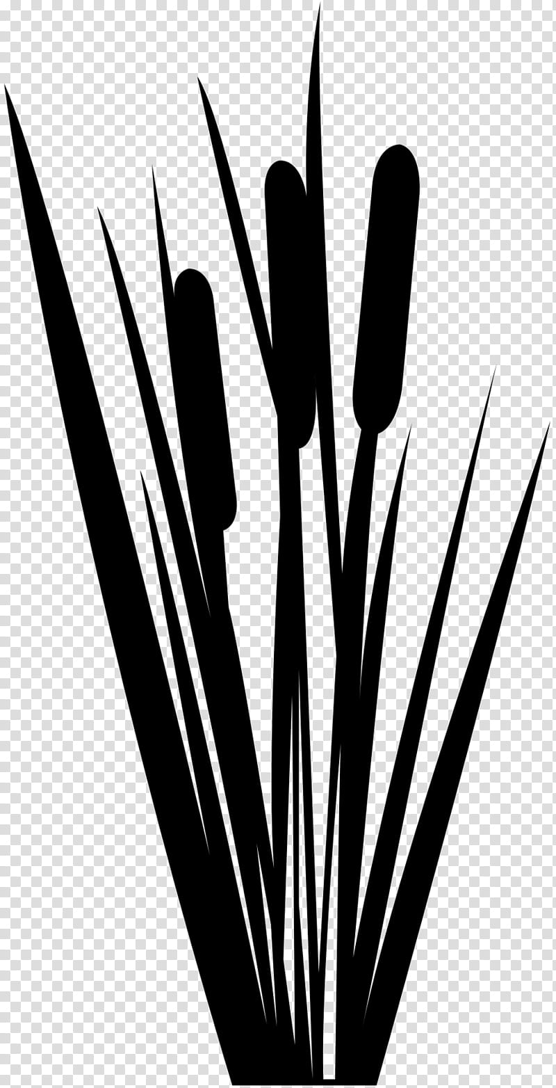 Grass, Black White M, Line, Grasses, Blackandwhite transparent background PNG clipart