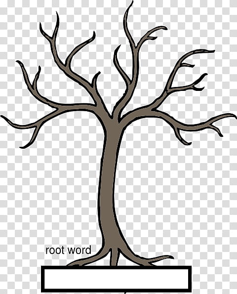 Black And White Flower, Tree, Fall Tree, Pine, Barr, Root, Oak, Branch transparent background PNG clipart