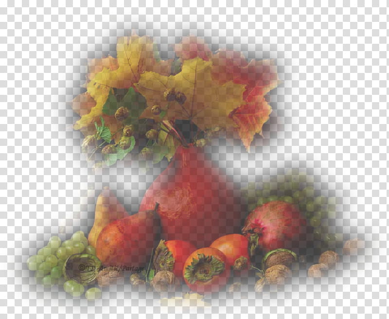 Watercolor Flower, Autumn, Net, Still Life , Woman, Signature, Fruit, Heart transparent background PNG clipart