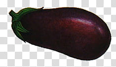 Vegetables and Fruit , ripe eggplant transparent background PNG clipart