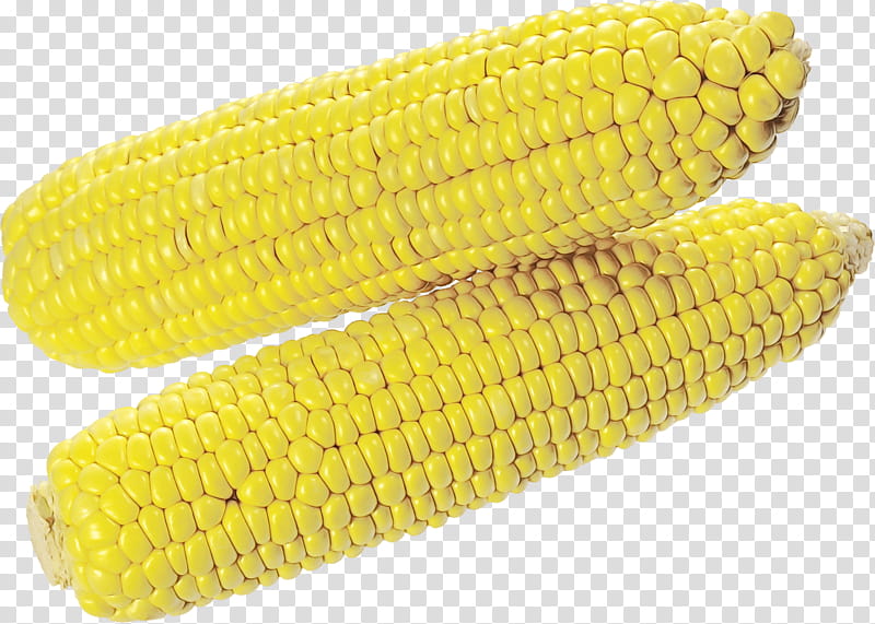 Candy Corn, Corn On The Cob, Sweet Corn, Flint Corn, Corncob, Field Corn, Food, Corn Kernel transparent background PNG clipart