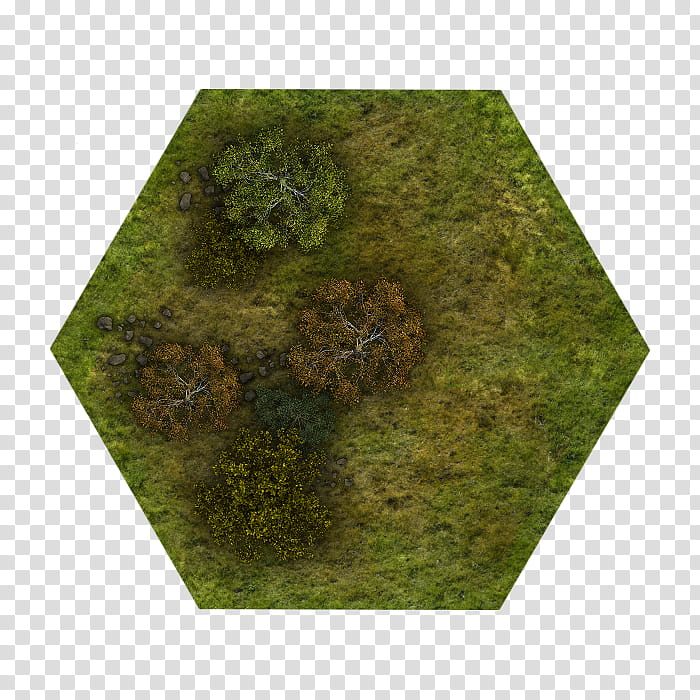 RPG Map Tiles , octagonal green illustration transparent background PNG clipart