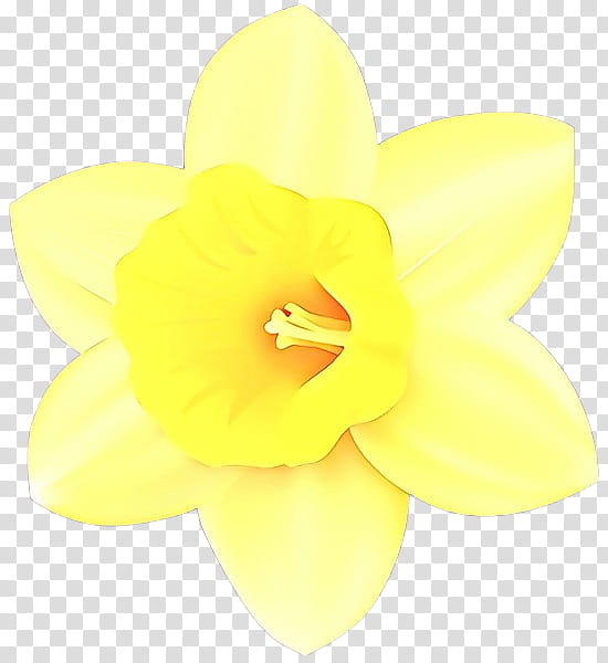 Yellow Flower, Cartoon, Narcissus, Petal, Plant, Amaryllis Family, Wildflower transparent background PNG clipart