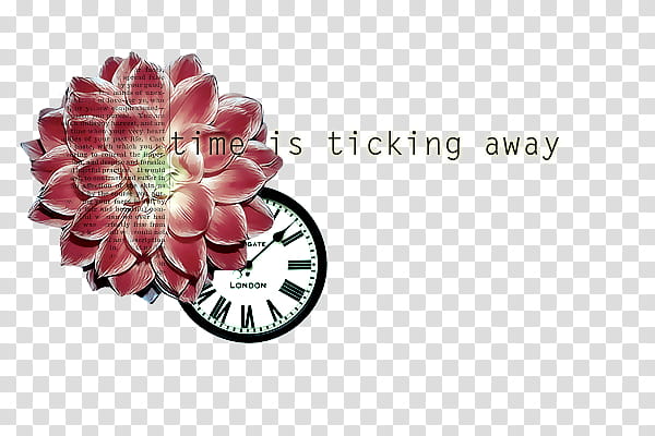 mixed, pink and white dahlia flower beside pocket watch with time is ticking away text overlay transparent background PNG clipart