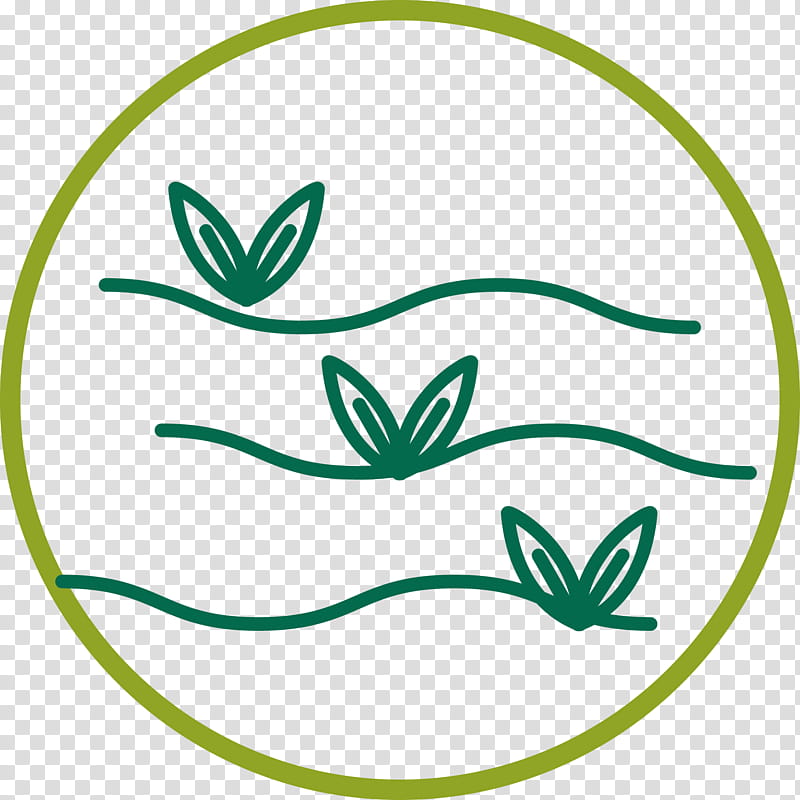 Flower Line Art, Nursery, Olive, Plants, Ornamental Plant, Oltre, Plant Stem, Cutting transparent background PNG clipart