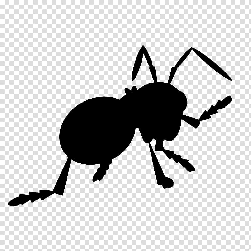 Ant, Beetle, Character, Silhouette, Cartoon, Pollinator, Line, Insect transparent background PNG clipart