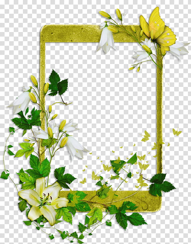 Floral Flower, Black Butler, Frames, Yellow, Plant, Branch, Leaf, Cut Flowers transparent background PNG clipart