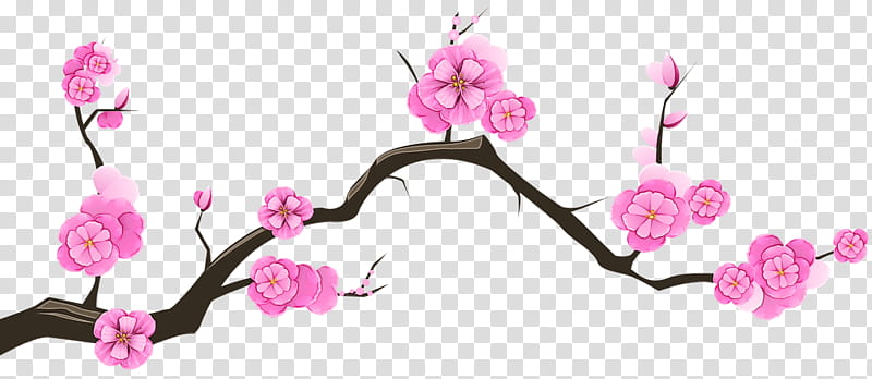 Cherry Blossom, Drawing, National Cherry Blossom Festival, Cherries, Pink, Flower, Plant, Branch transparent background PNG clipart