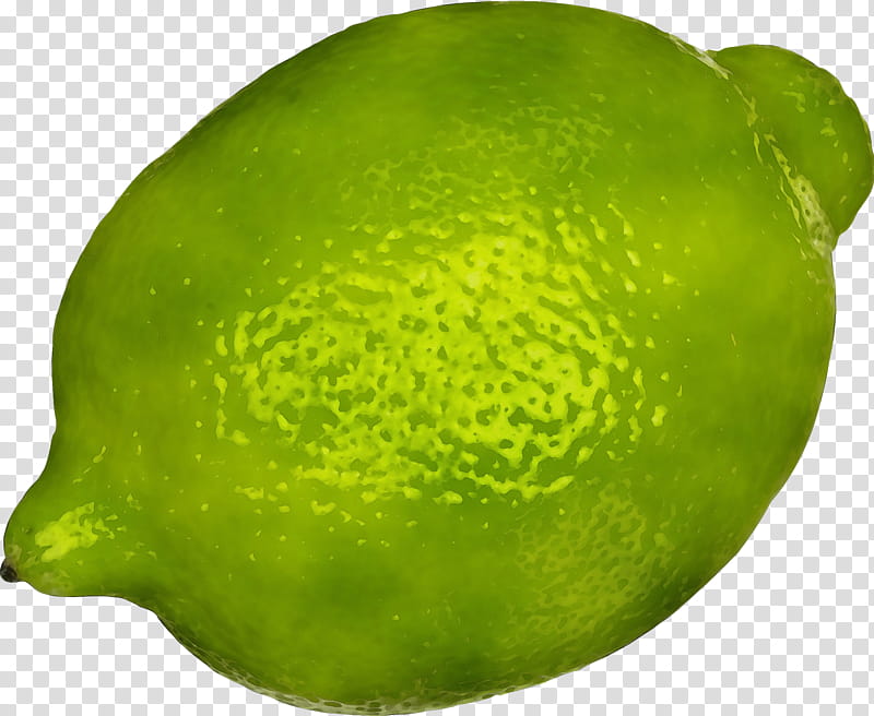 persian lime lime citrus fruit green, Watercolor, Paint, Wet Ink, Lemon, Citron, Sweet Lemon, Plant transparent background PNG clipart