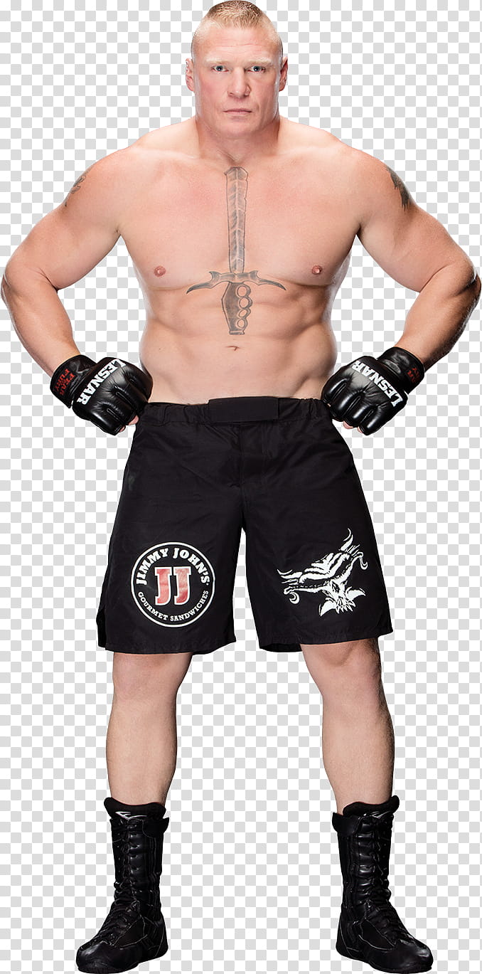 Brock Lesnar  Stats transparent background PNG clipart