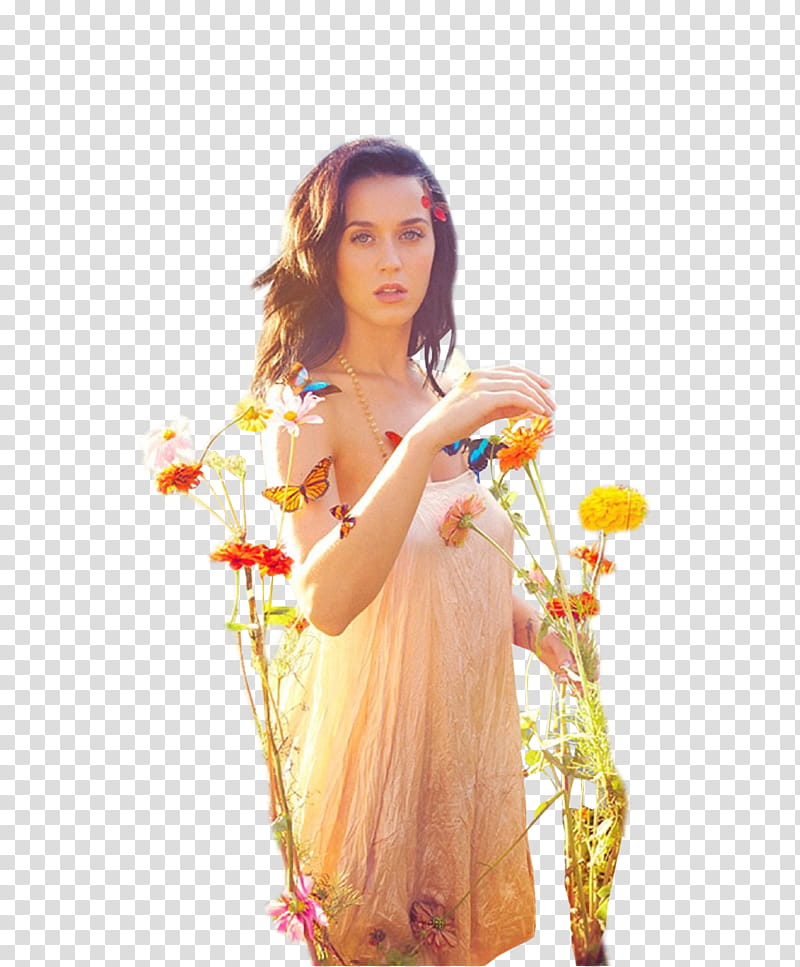 Katy Perry Prism transparent background PNG clipart